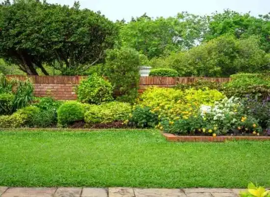 landscaping services Lexington